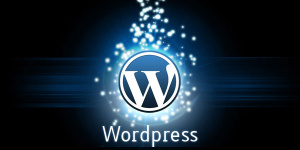Wordpress Nedir